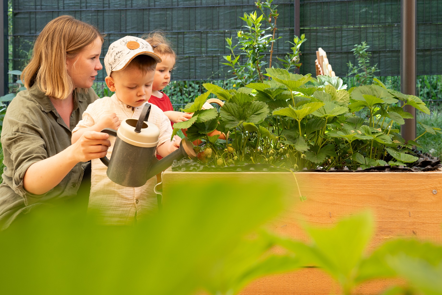 Diakonie Pirna (allgemein)